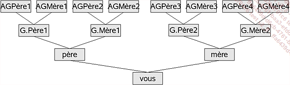 Un arbre généalogique est un arbre binaire